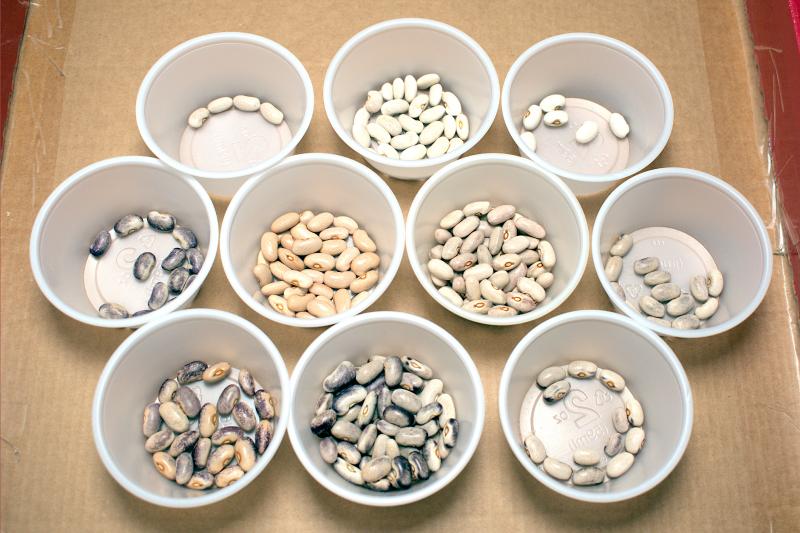 beans