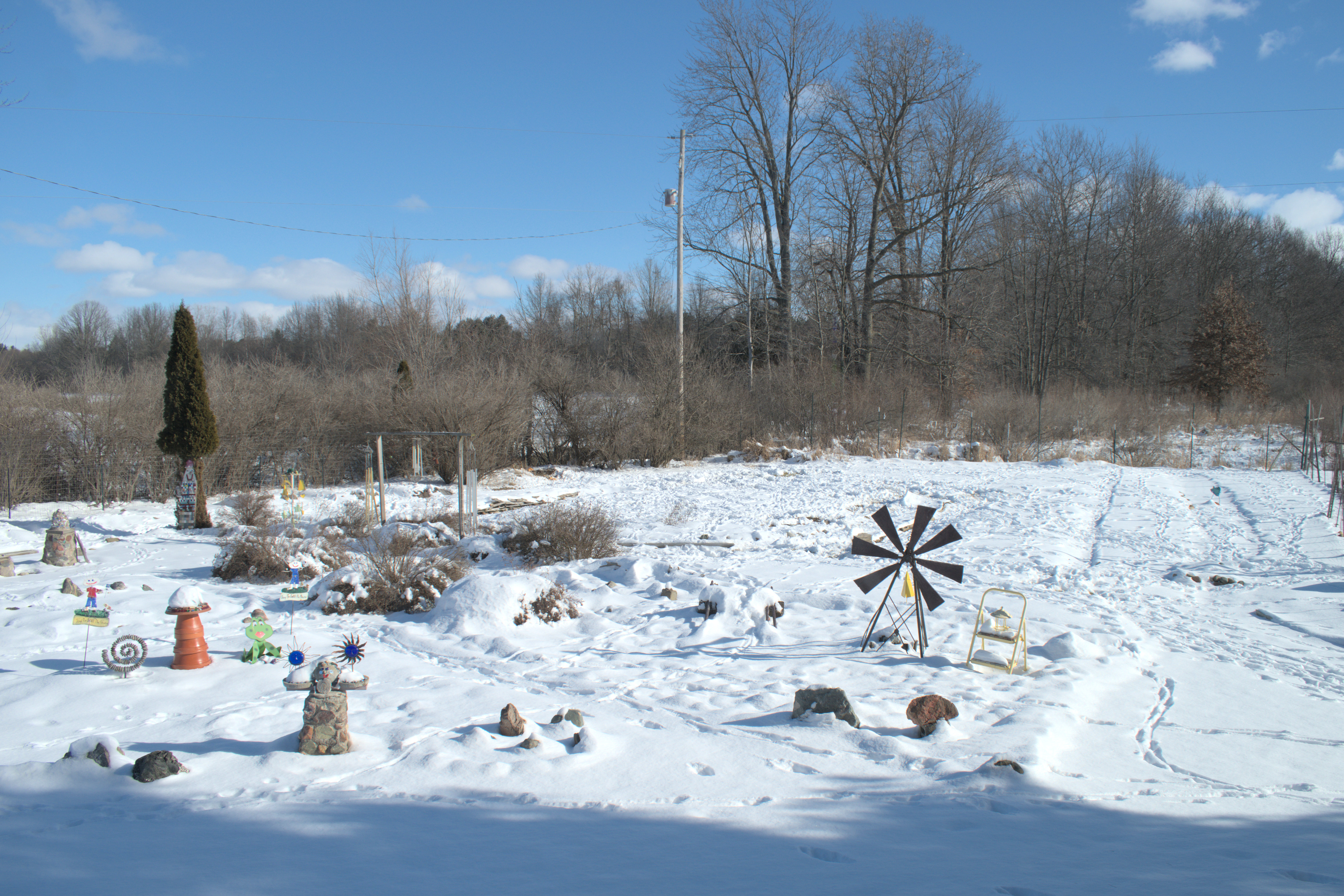 DSC_20230203_105947-0500_1846_Deer_Tracks.jpg