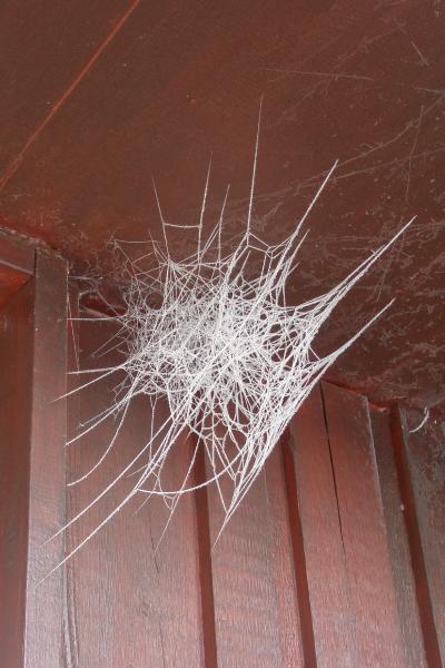 p2050011_Frozen_Web_2_thm.jpg