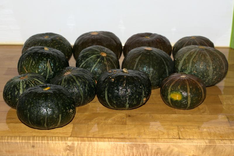 squash